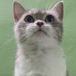 Profile picture of Hai Dinh Tuan
